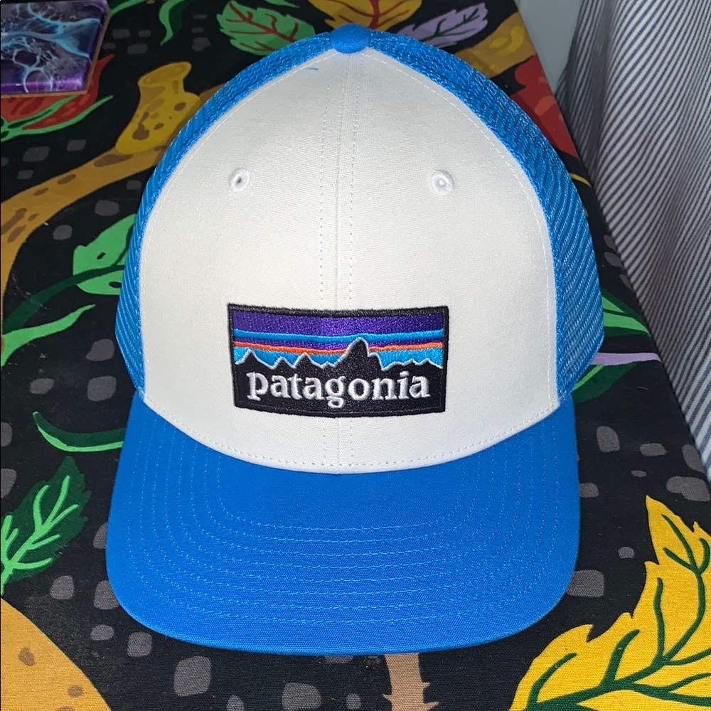 Patagonia Blue and White Trucker Hat